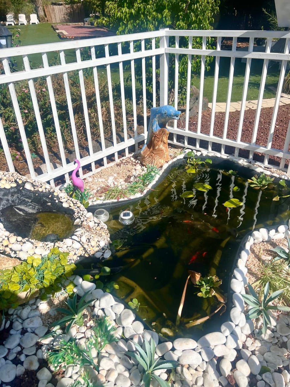 Magical in the Galilee Motel in North District