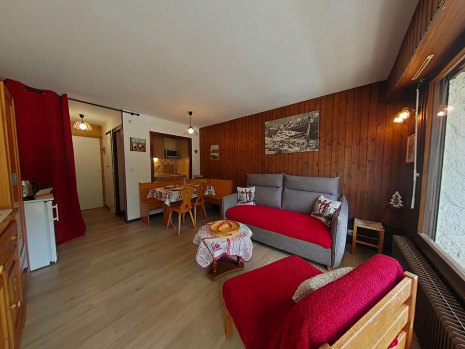 Studio 4 pers, centre village, proche commerces et pistes, TV incluse - FR-1-241-29 Apartment in Le Grand-Bornand