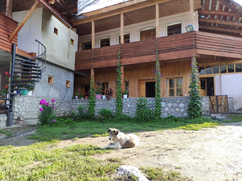 Property building, Garden, Pets