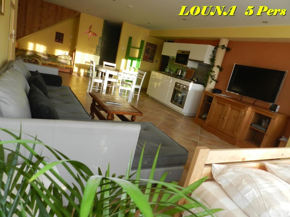 Kitchen or kitchenette, Living room