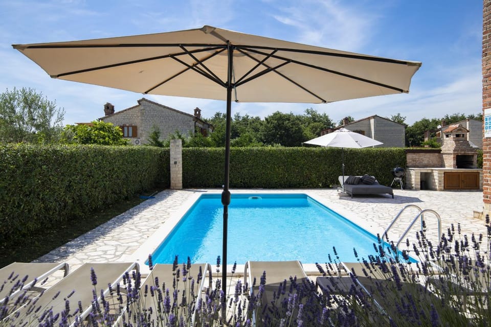 Property building, Patio, Day, Garden, Garden view, Pool view, Swimming pool, sunbed