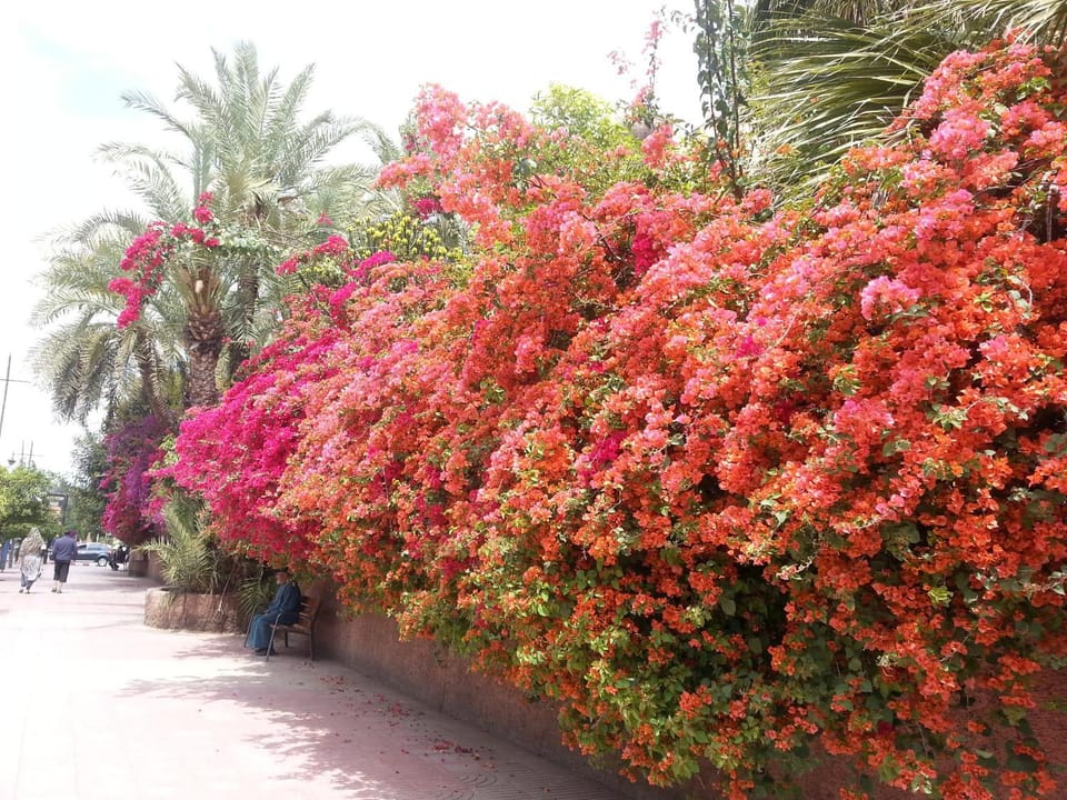 Facade/entrance, Garden