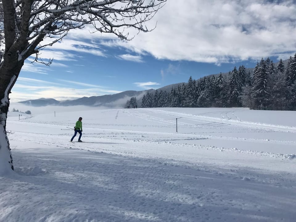 Off site, Day, Natural landscape, Winter