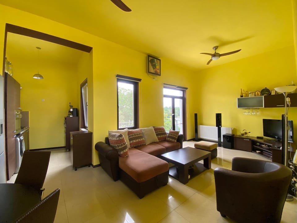 Bed, Kitchen or kitchenette, Living room