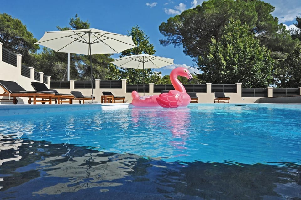 Pool view, Swimming pool, sunbed