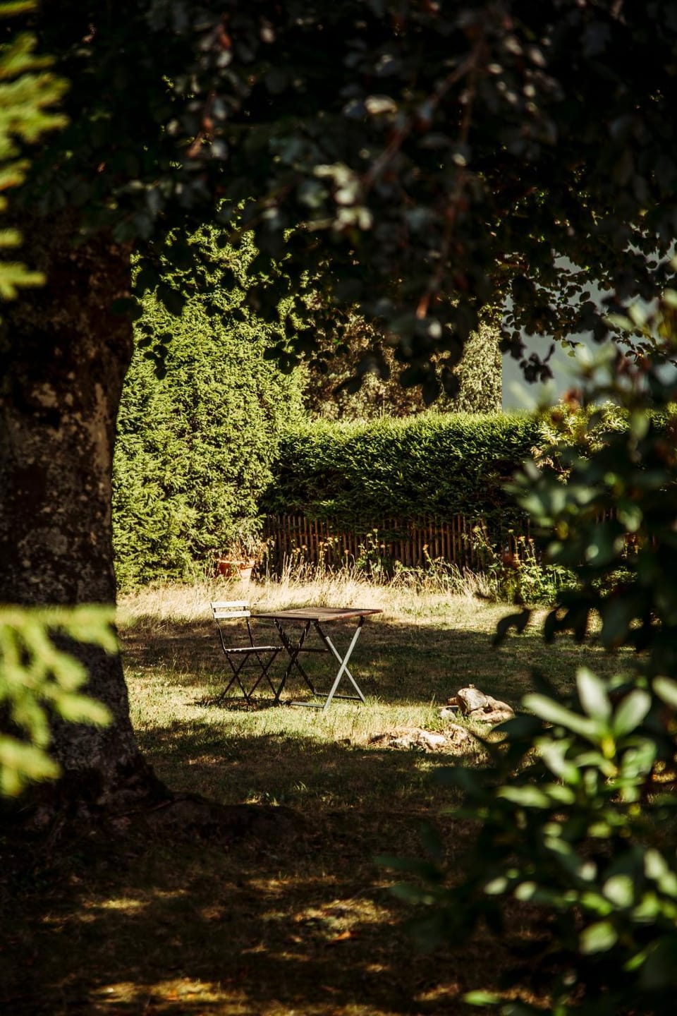 Garden view