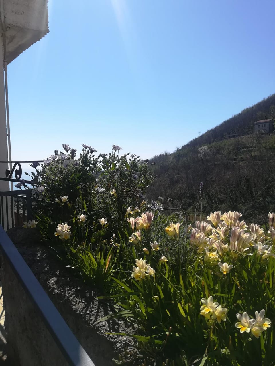 Il Covo delle Civette Bed and Breakfast in Campania