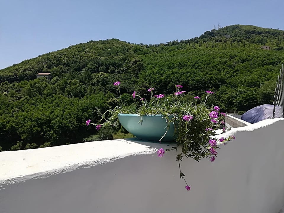 Il Covo delle Civette Bed and Breakfast in Campania