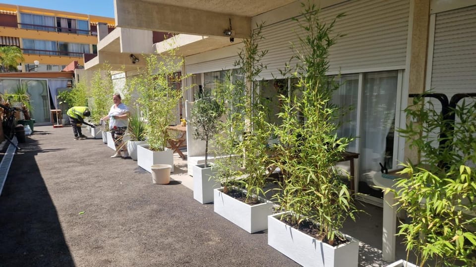 Asklan Apartment in Bormes-les-Mimosas