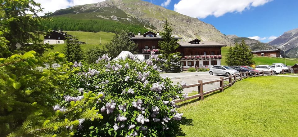 Property building, Day, Natural landscape, Mountain view, Parking