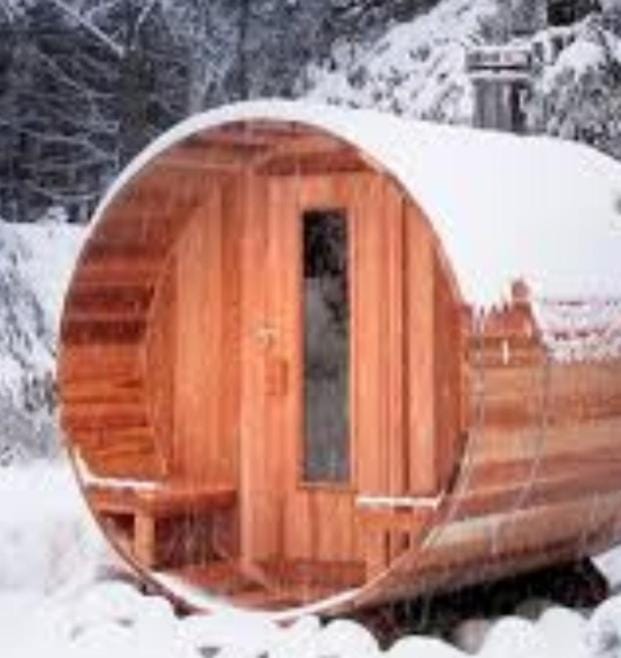 Pensiunea Rozmarin Bed and Breakfast in Romania