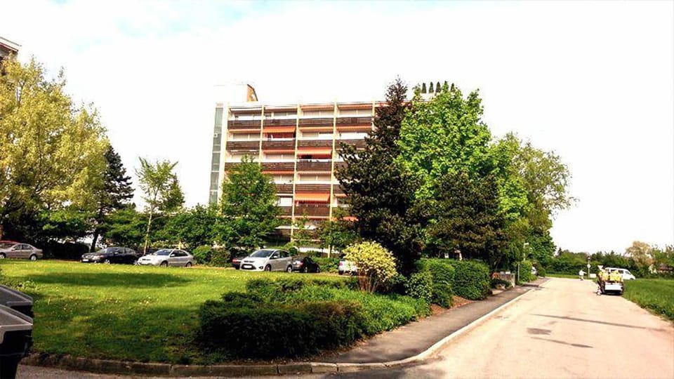 Area and facilities