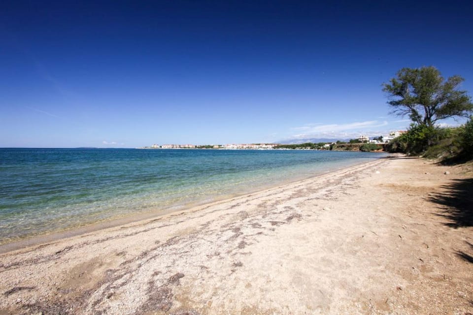 Neighbourhood, Natural landscape, Beach