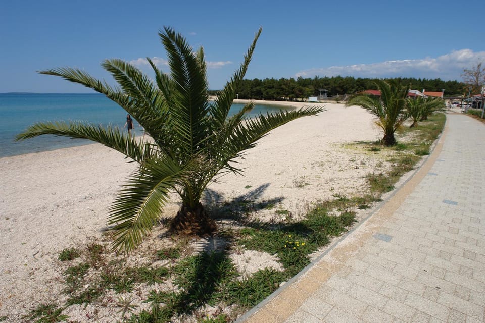 Neighbourhood, Natural landscape, Beach
