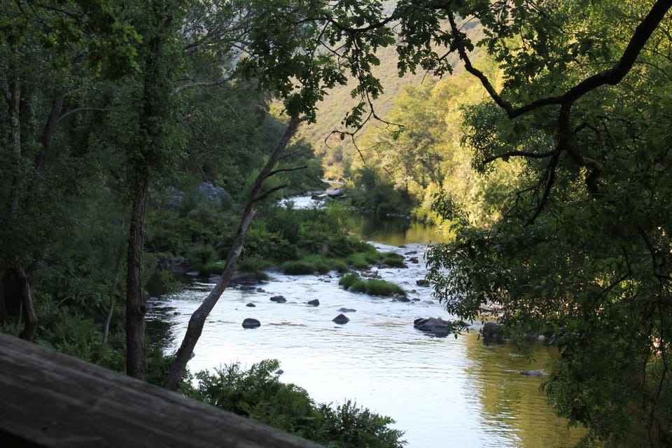 Natural landscape, River view