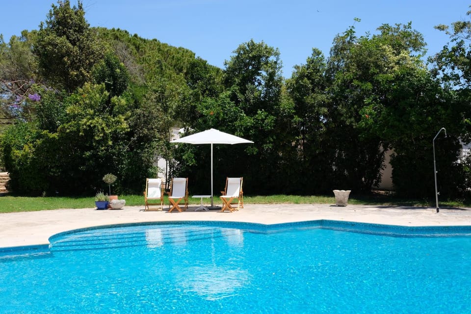 Garden, Swimming pool