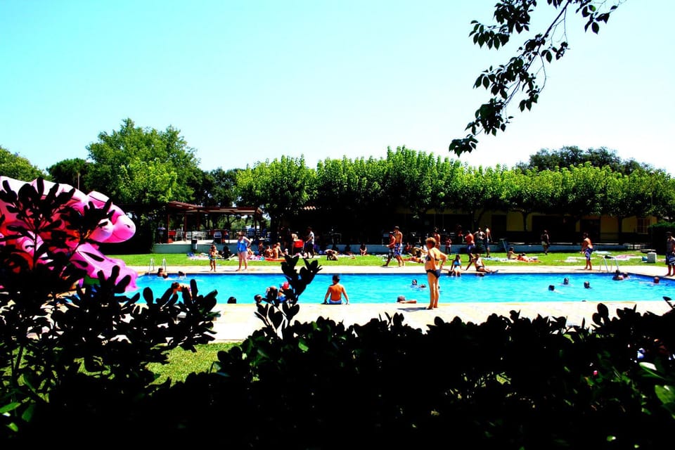 Day, Swimming pool, Swimming pool