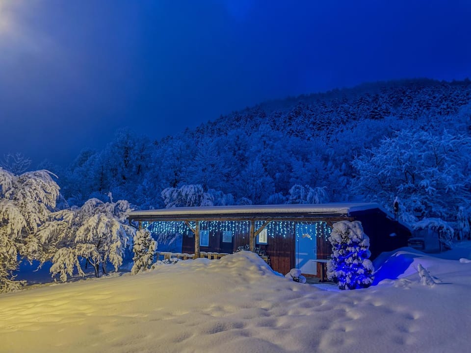 Property building, Winter, Garden, View (from property/room)