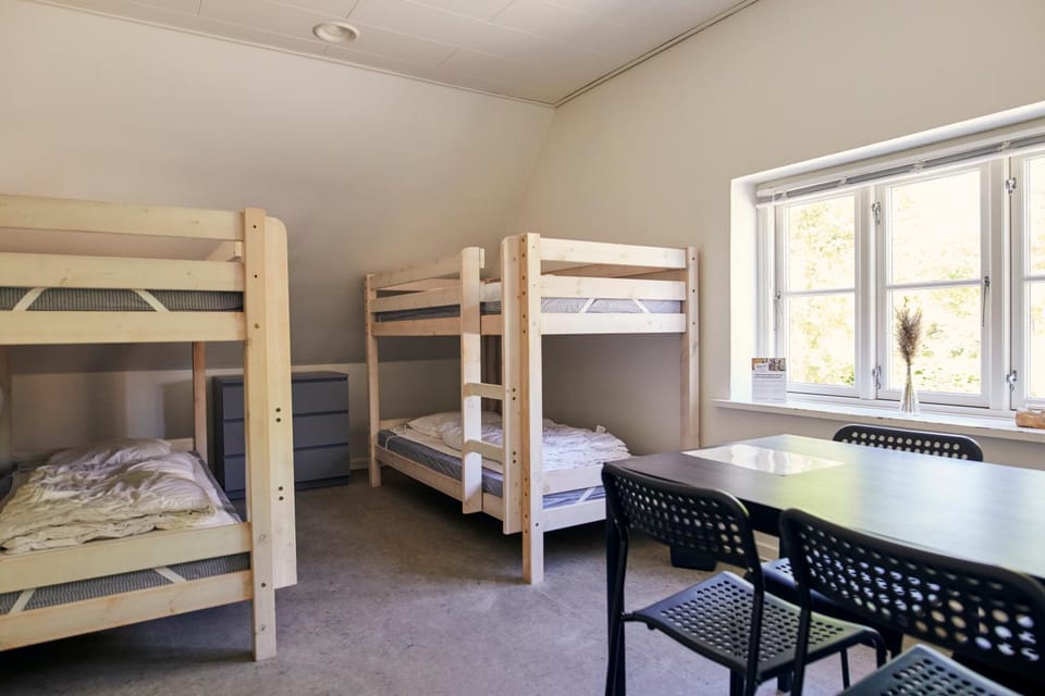 Photo of the whole room, Bedroom, bunk bed