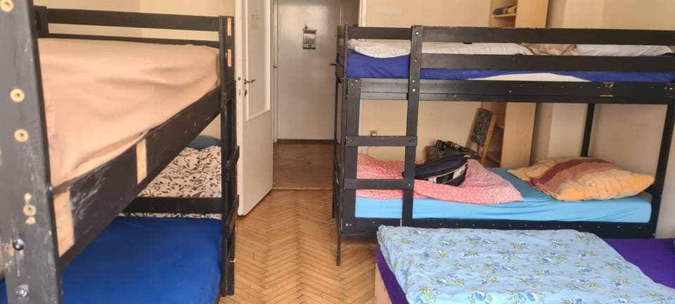 Bed, Photo of the whole room, Bedroom, bunk bed