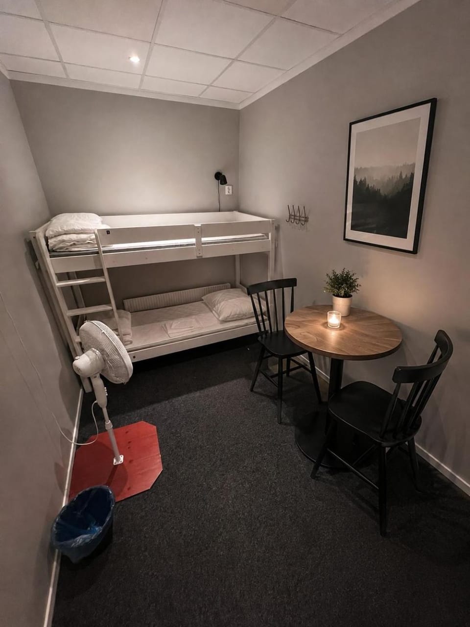 Photo of the whole room