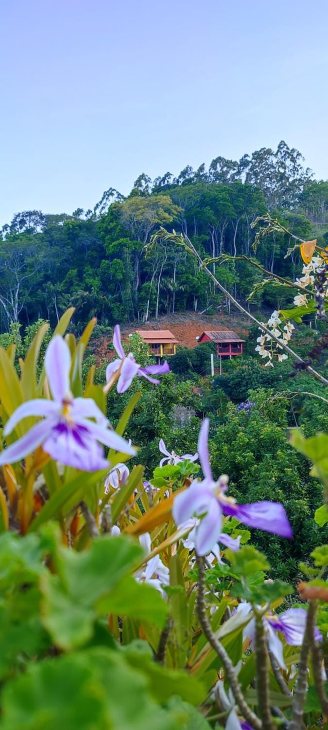Natural landscape, Garden view