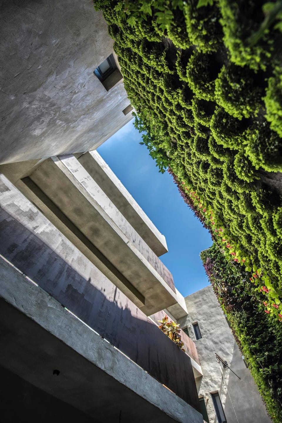 Garden, Garden