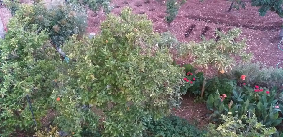 Toulatos Pantelis Apartment in Cephalonia
