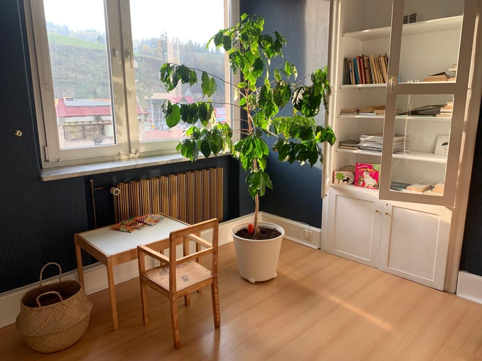 Library, Living room, Photo of the whole room, Bedroom