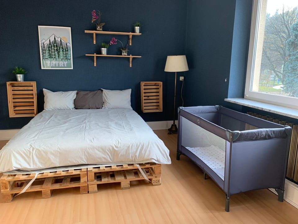 Bed, Living room, Photo of the whole room, Bedroom, cot