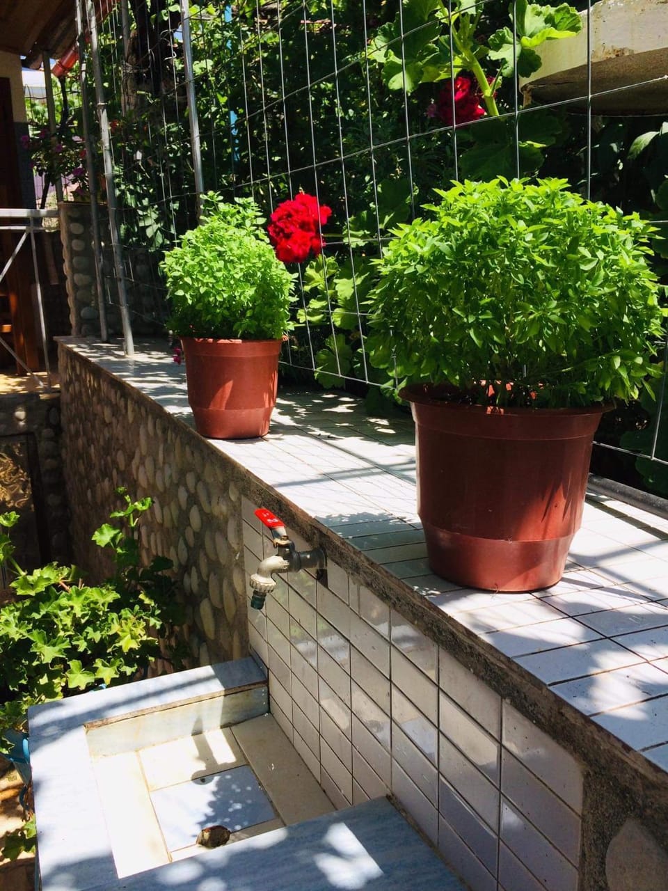 Garden, Garden view