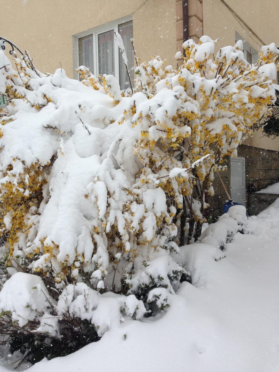 Sadyba u Lesi Bed and Breakfast in Ukraine