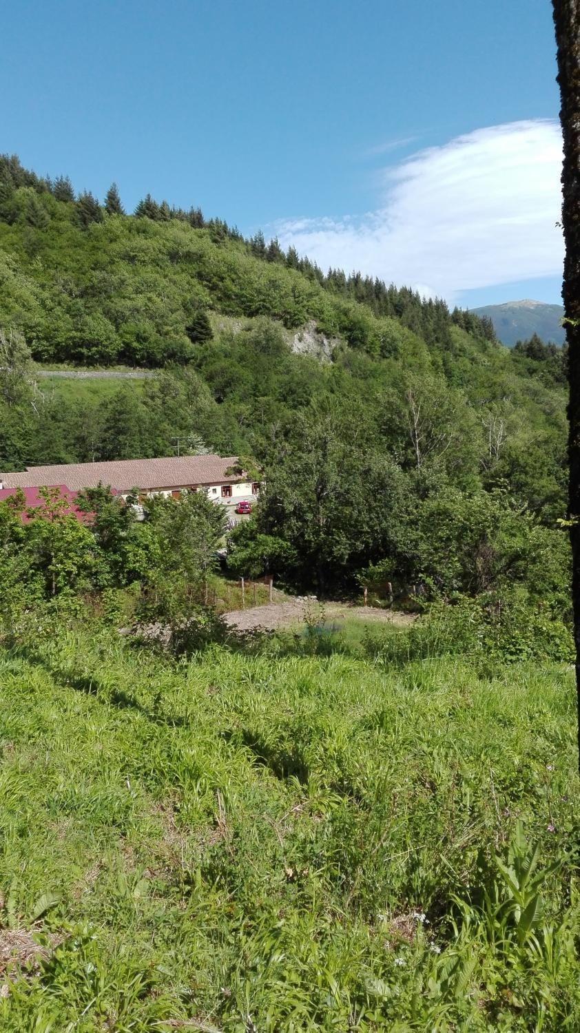 Agriturismo Rio Ricco Farm Stay in Emilia-Romagna