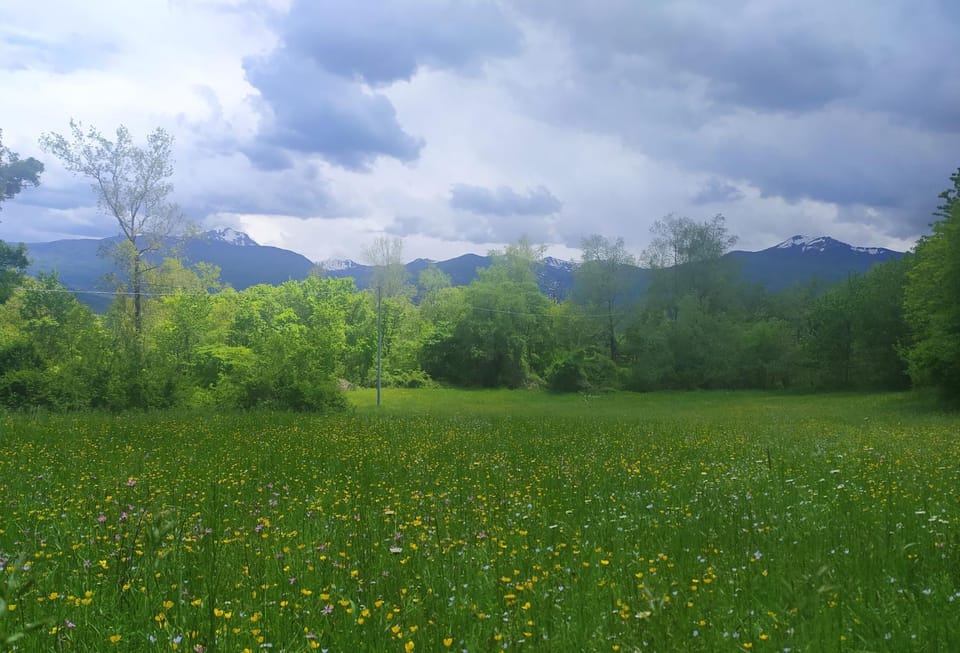 Agriturismo Rio Ricco Farm Stay in Emilia-Romagna