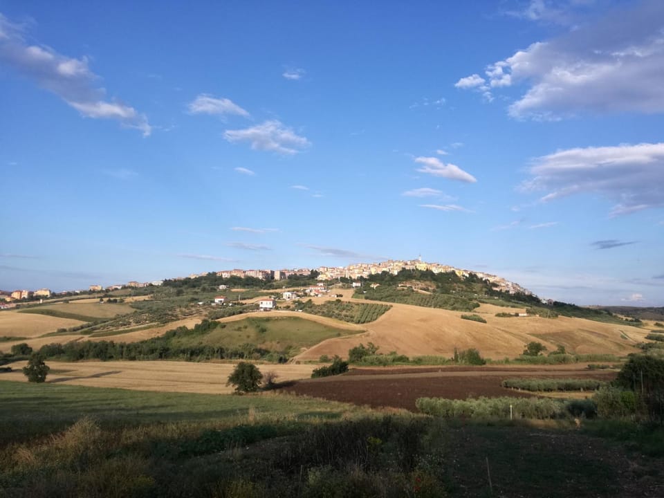 City view