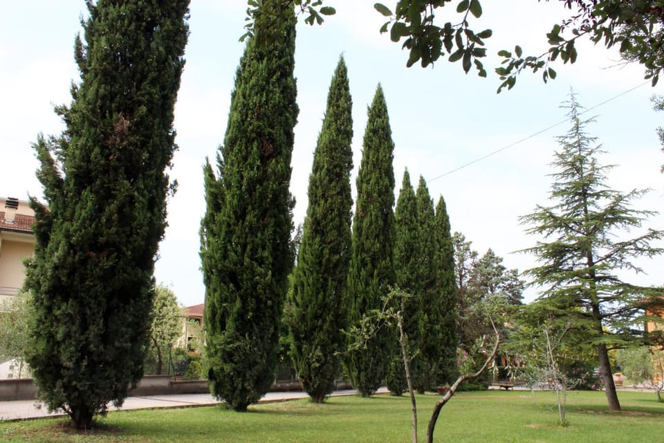 Natural landscape, Garden, Garden, On site, Garden view