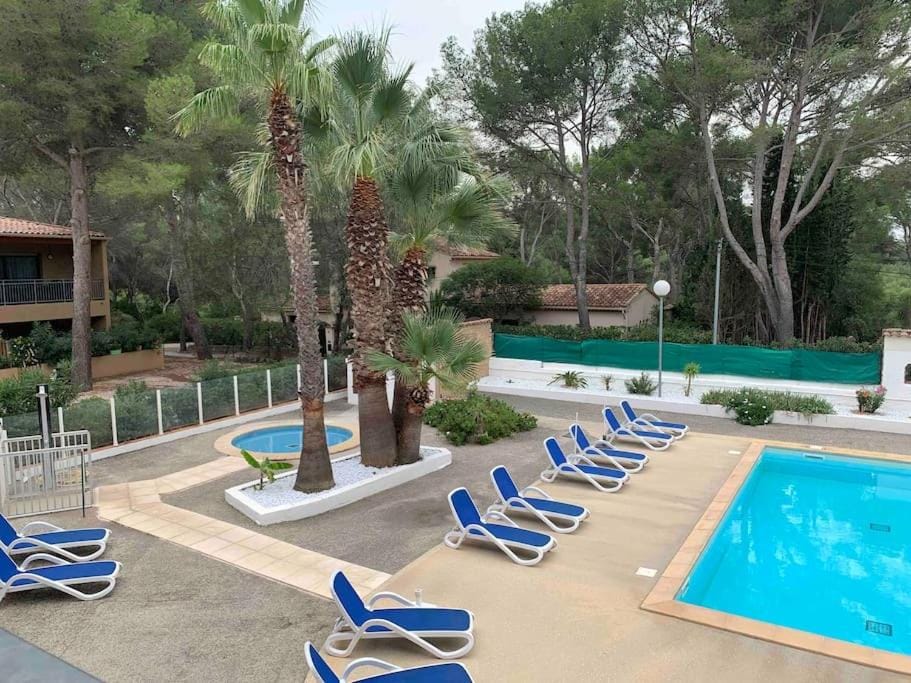 Garden, Pool view, Swimming pool, sunbed