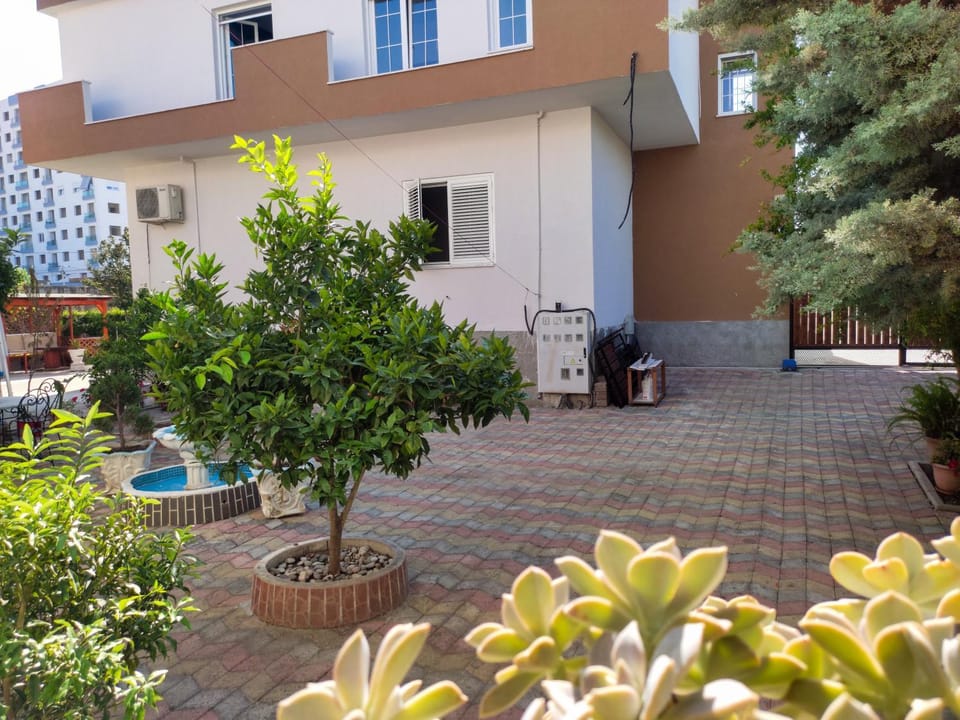 Property building, Garden, Garden, Garden view