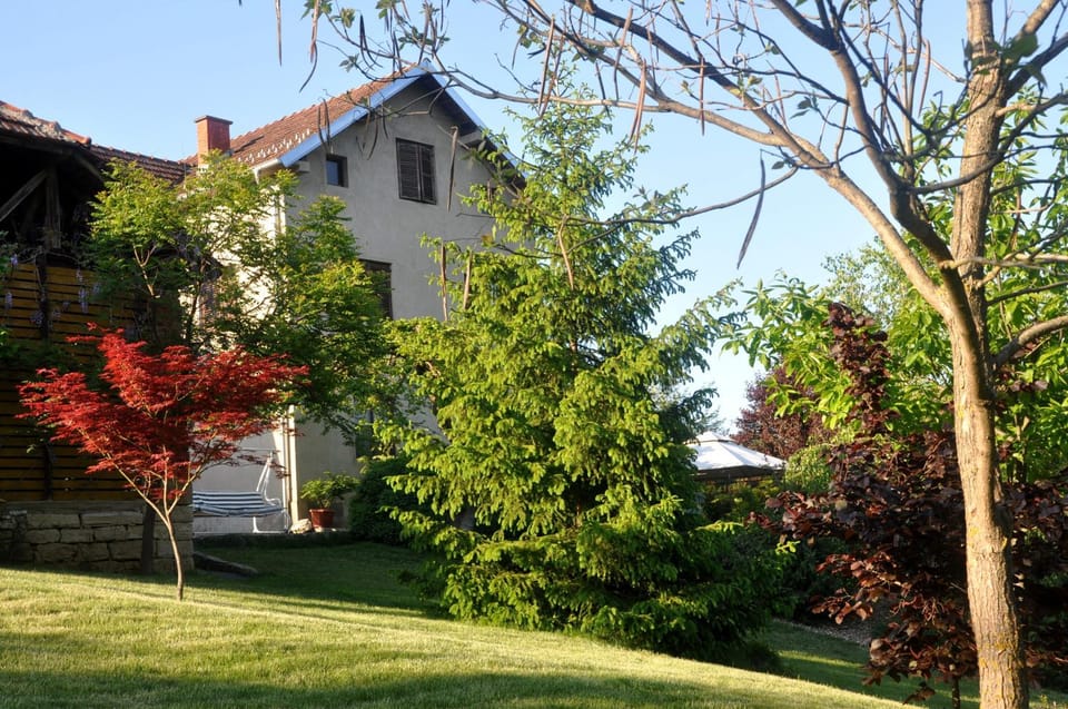 Property building, Garden view