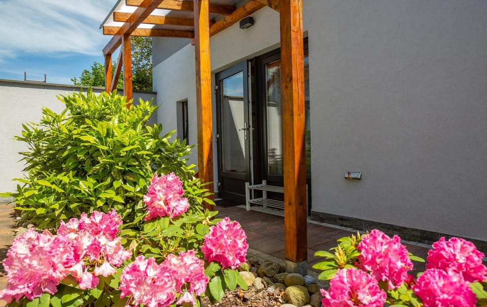 Property building, Garden, Garden view
