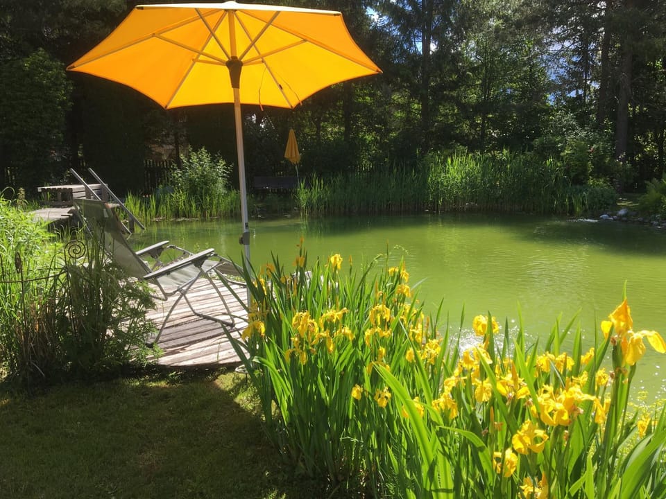 Natural landscape, Garden, Lake view