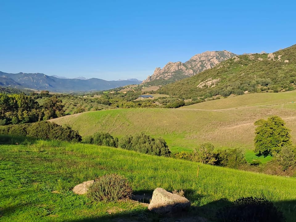 Spring, Natural landscape, Mountain view