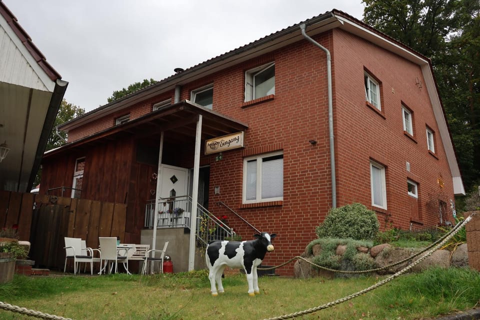 Property building, Garden view
