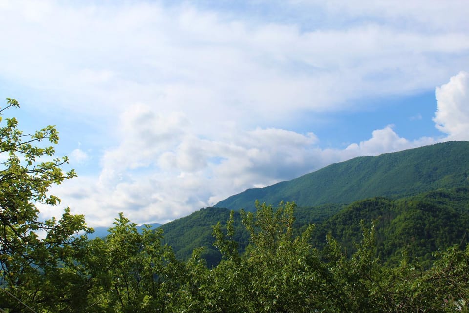 Natural landscape, Summer, Mountain view
