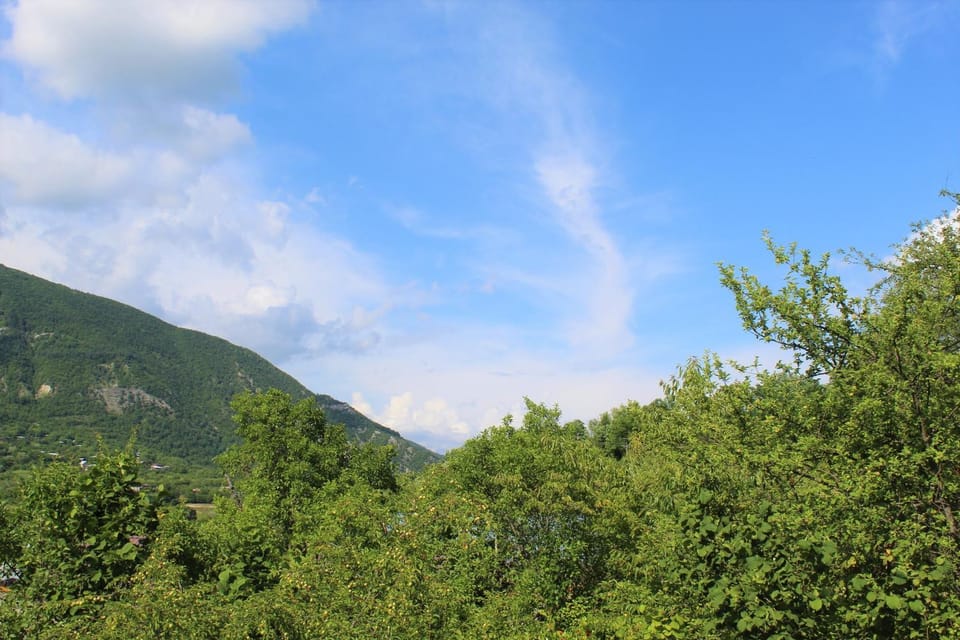 Natural landscape, Summer