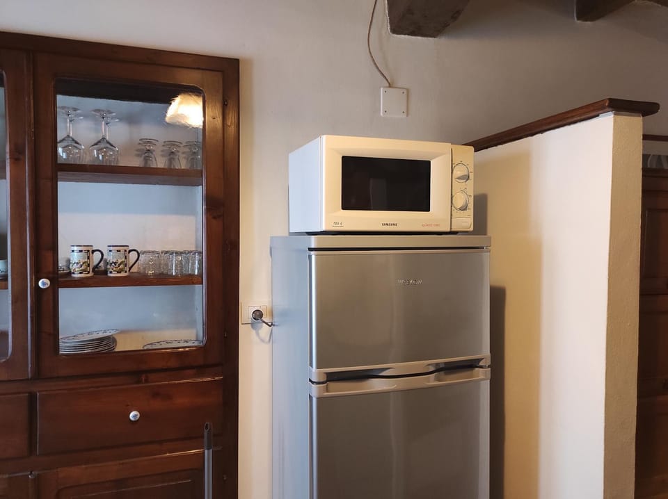 Kitchen or kitchenette, microwave, pet friendly