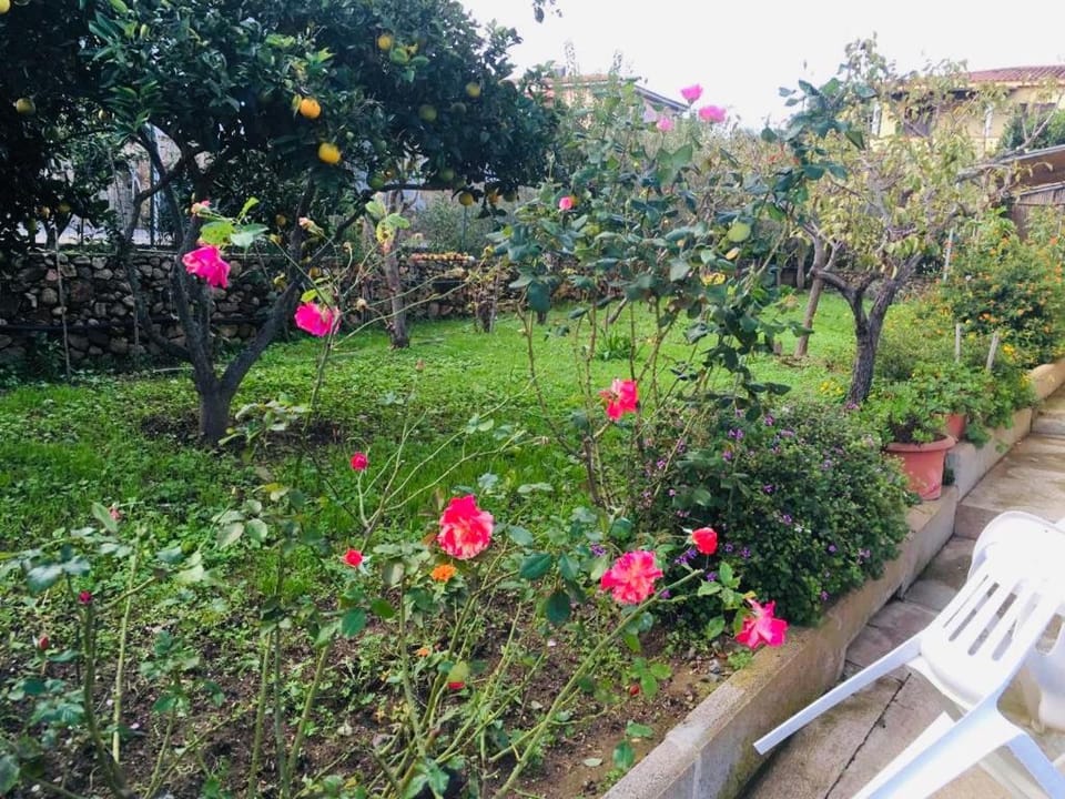 B&b Sa Domo Bed and Breakfast in Sardinia