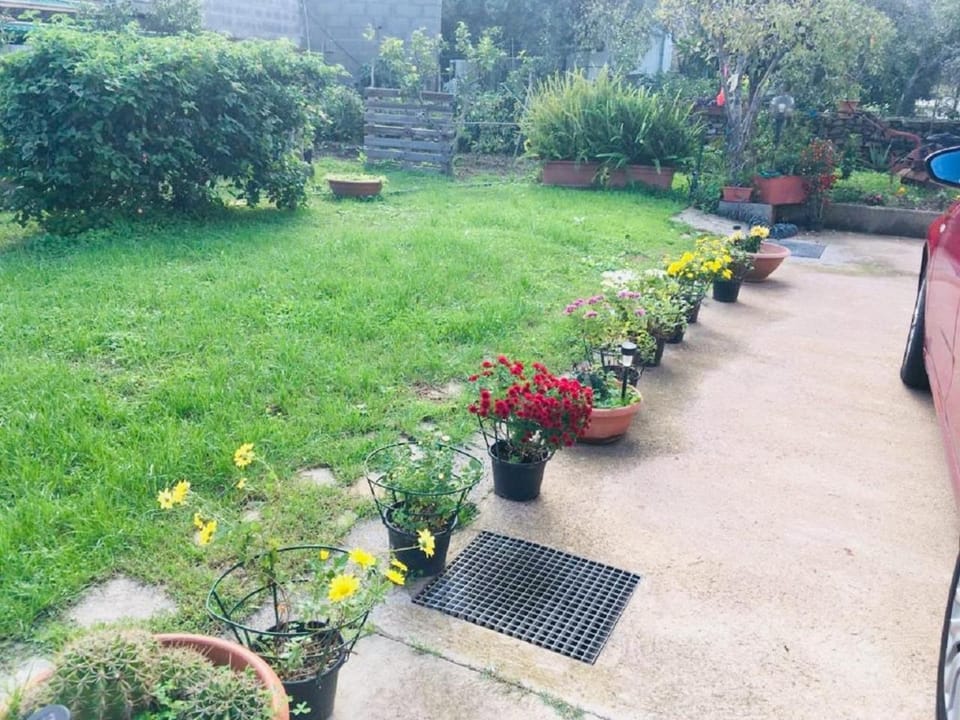 B&b Sa Domo Bed and Breakfast in Sardinia
