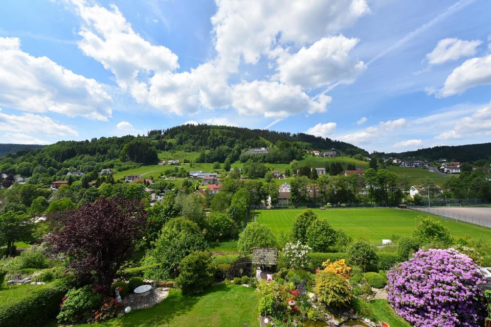 Garden view