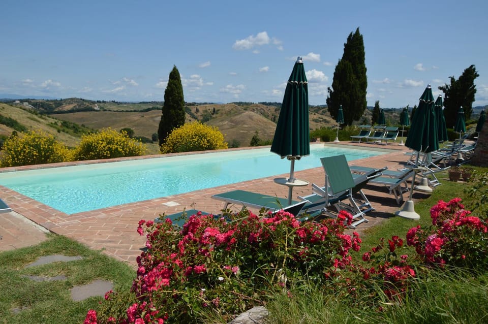 Swimming pool, Swimming pool